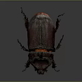 Horned Shiny Dark Purple Beetle With Red Accents On Gray Background