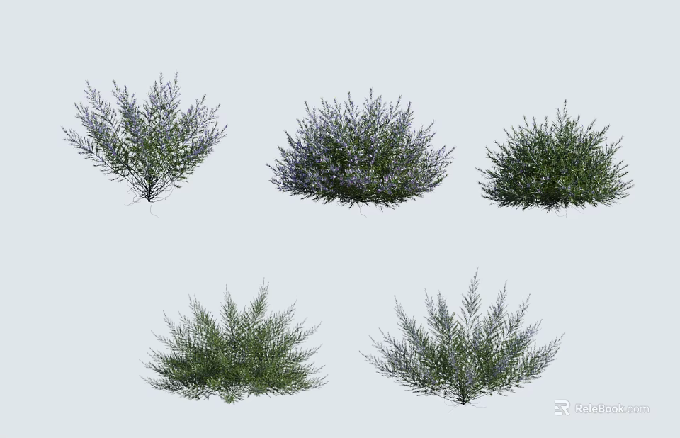 Different Types of Garden Plants with Green Foliage and Purple Flowers 3d model 