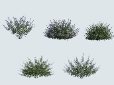 Different Types of Garden Plants with Green Foliage and Purple Flowers 3d model