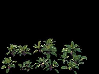 Modern radish 3d model Modern radish 3d model