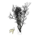 Elegant Decorative Ornament Set with Black Branches Clear Glass Vase and Small Elephant Figurine