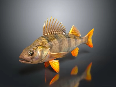 Decorative Striped Fish Ornament With Orange Fins Tail And Dark Background Reflection 3d model