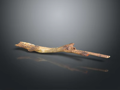Natural Wooden Branch With Authentic Texture And Knots On Smooth Black Surface 3d model