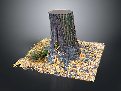 Wooden Tree Stump on Stone Platform with Fallen Leaves and Small Plants 3d model