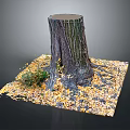 Wooden Tree Stump on Stone Platform with Fallen Leaves and Small Plants