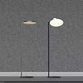 Modern Floor Lamps With Metal Pole And Round Shade Against Gray Wall Interior