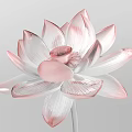 Transparent Pink White Gradient Lotus Flower With Textured Petals On Grey Background