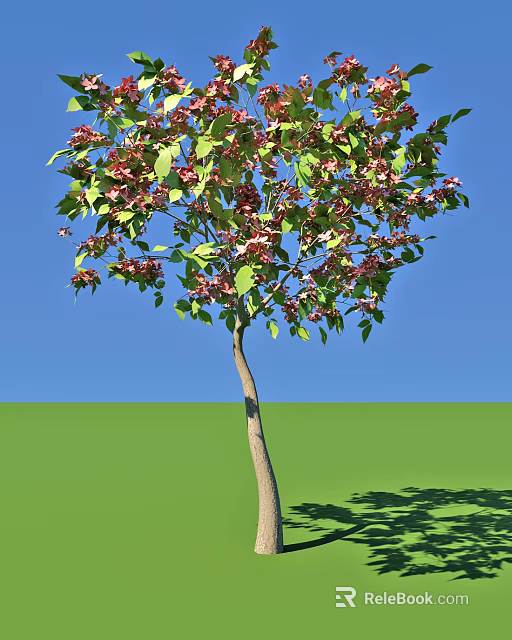 Beautiful Flowering Tree With Pink Blossoms And Green Leaves Against Blue Sky 3d model 