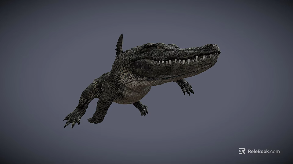 Realistic Crocodile 3D Model With Detailed Scales And Open Mouth 3d model 