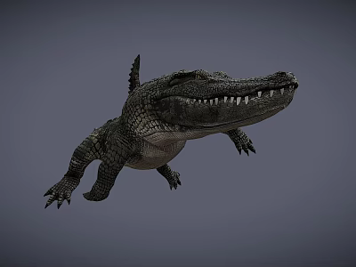 Realistic Crocodile 3D Model With Detailed Scales And Open Mouth 3d model