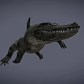 Realistic Crocodile 3D Model With Detailed Scales And Open Mouth