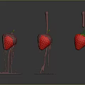 Fresh Strawberries With Chocolate Covered And Dripping Chocolate On Dark Background
