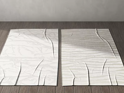 Light Colored Square Rugs With Textured Design On Wooden Floor Against Gray Wall 3d model