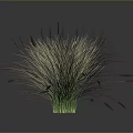 Fluffy Light Colored Plant with Red Slender Spikes and Green Base