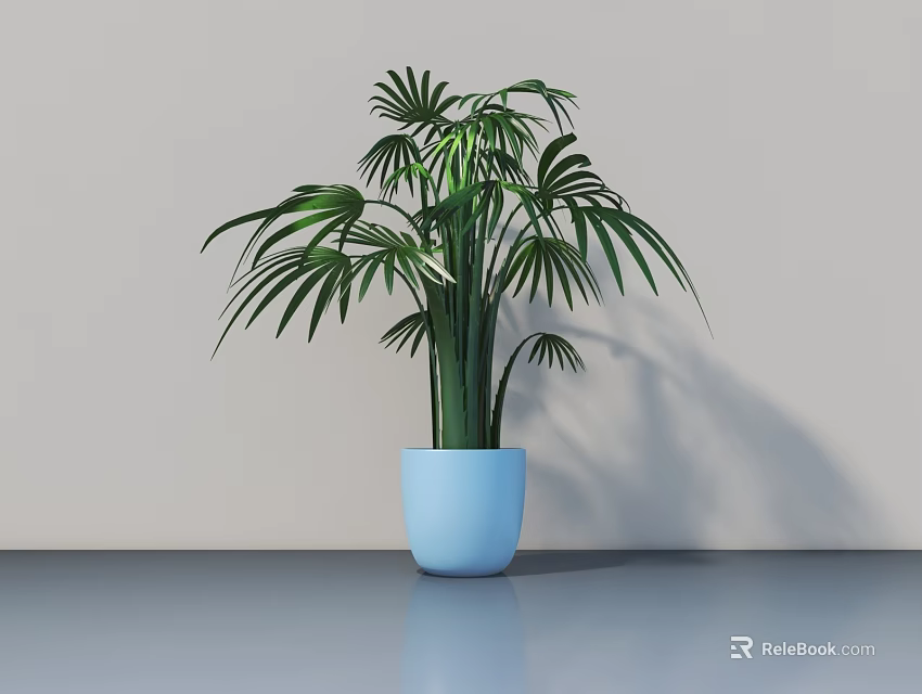 Bonsai Plant With Fan Shaped Leaves In Blue Pot On Gray Surface 3d model 
