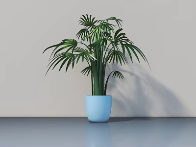 Bonsai Plant With Fan Shaped Leaves In Blue Pot On Gray Surface 3d model