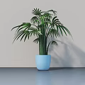 Bonsai Plant With Fan Shaped Leaves In Blue Pot On Gray Surface