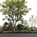 Modern shrub plant landscape cluster 3d model