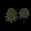 Decorative Tree Ornament Set With Green Leaves For Home Decoration