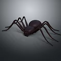 Dark Spider Model With Long Legs On Gray Gradient Background