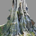 Ancient Tree With Gnarled Twisted Exposed Roots At Base And Green Grass Around Trunk