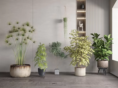 Modern potted plants 3d model