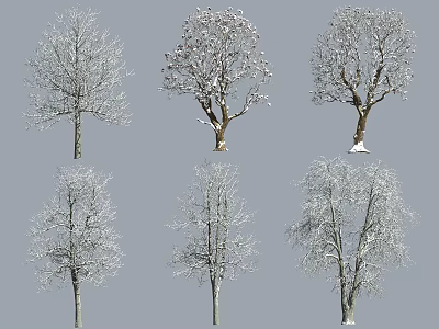 Snow Covered Arbor Trees Display Various Natural Forms And Diverse Branch Shapes 3d model