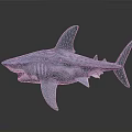 Blue Shark 3D Model with Open Mouth on Gray Reflective Background 3d model