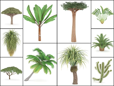 Various Plant Combination With Palms Banana Trees Ferns And Succulent Greenery 3d model