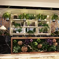 Modern Bar Counter With Black Marble Surface Green Plants Succulents Hanging Lights And Carved Decorations