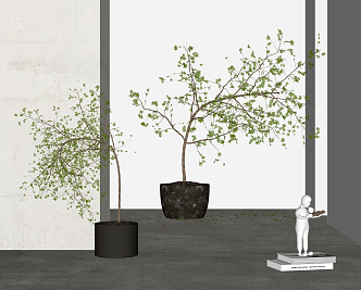 Modern potted plant combination 3d model