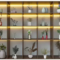Elegant Illuminated Shelf Compartments With Various Vases And Decorative Plant Arrangements