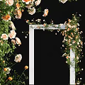 Lush Vines With Orange Roses And Green Leaves Decorating White Archway On Black Background