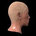 Game Film Character 3D Head Model With Bald Head And Realistic Facial Features