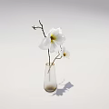 Transparent Glass Vase With White Flowers And Yellow Center On Minimalist Background