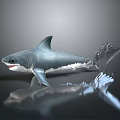 Realistic Shark Model With Open Mouth Sharp Teeth Gray And White Body And Reflective Surface 3d model