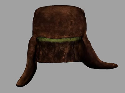 Cozy Brown Hat With Green Lining And Warm Ear Flaps Design 3d model