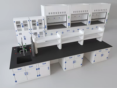 Modern Laboratory Workstation With Black Countertop Cabinets Fume Hoods And Shelves 3d model