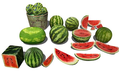 Modern Watermelon 3d model