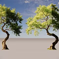 Two Twisted Arbors With Lush Green Foliage Against Gray Background