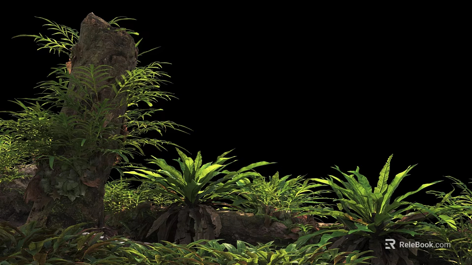 Lush Green Ferns And Tropical Plants Around Tree Trunk On Black Background 3d model 