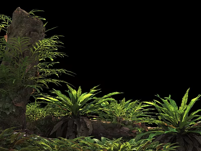 Lush Green Ferns And Tropical Plants Around Tree Trunk On Black Background 3d model