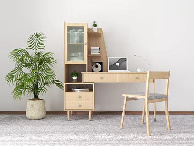 Minimalist Wooden Desk with Laptop Lamp Glass Door Cabinet Plants and Chair 3d model