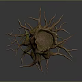 Natural Wooden Tree Stump Decorative Piece with Intricate Roots and Mossy Surface