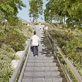 Aerial View Of Lush Green Forest With Winding Path And Red Area