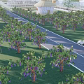 Scenic Country Road Lined with Grape Vines Bearing Purple Grapes and Distant Yurt Shaped Building
