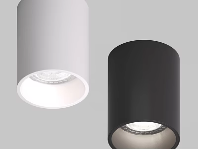 Modern Cylindrical Ceiling Lights In White And Black Sleek Design 3d model