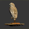 Spotted Owl Figurine with Detailed Feathers and Wooden Stand on Yellow Base