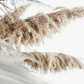 Elegant Dried Pampas Grass Palm Leaves And Wheat Ears Home Decor Arrangement