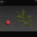 Healthy Arbor Tree With Red Fruits And Green Leafy Branches